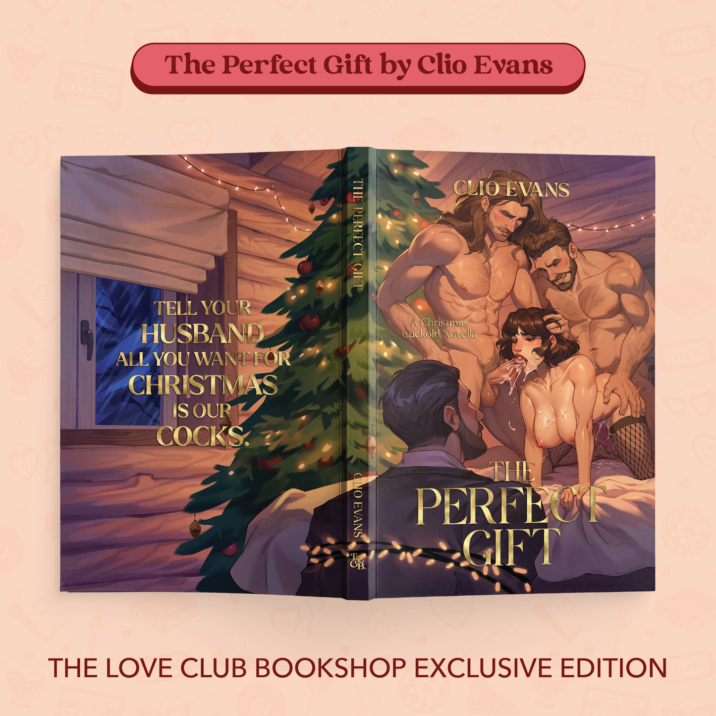 The Perfect Gift by Clio Evans